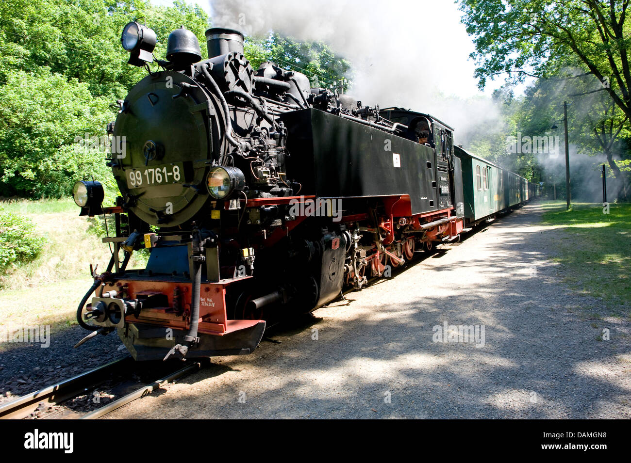 Le chemin de fer de la vallée de Loessnitz à travers Radebeul, Allemagne, 25 mai 2011. Que la Saxe's quatrième de fer à voie étroite qu'il a été en service depuis 1884 et s'est connecté et Radebeul Radeburg depuis. Photo : Martin Foerster Banque D'Images