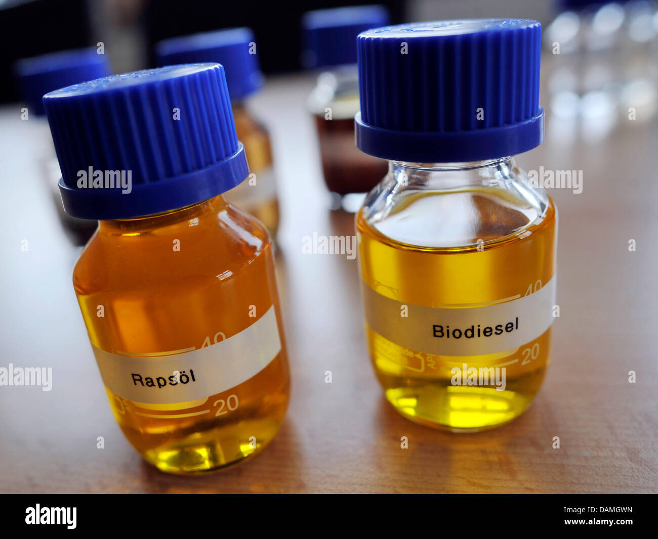 Des échantillons de l'huile de colza et de biodiesel sont représentés dans  un laboratoire de l'entreprise Natural Energy West de Marl, Allemagne, 29  mai 2011. La société fabrique le biodiesel de l'huile