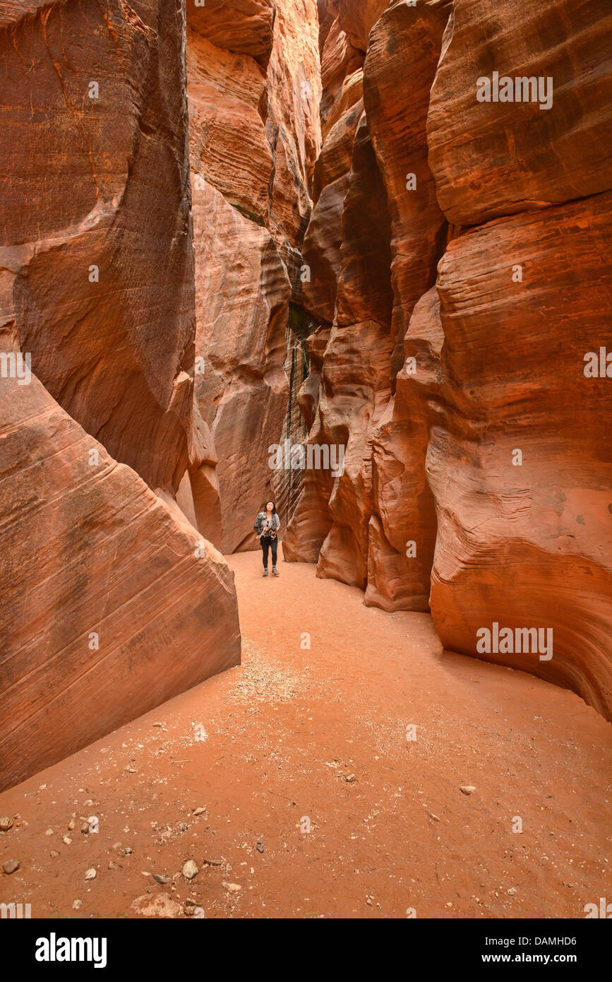 Randonneur dans la fente du ravin du Daim canyon, Kanab, Utah Banque D'Images