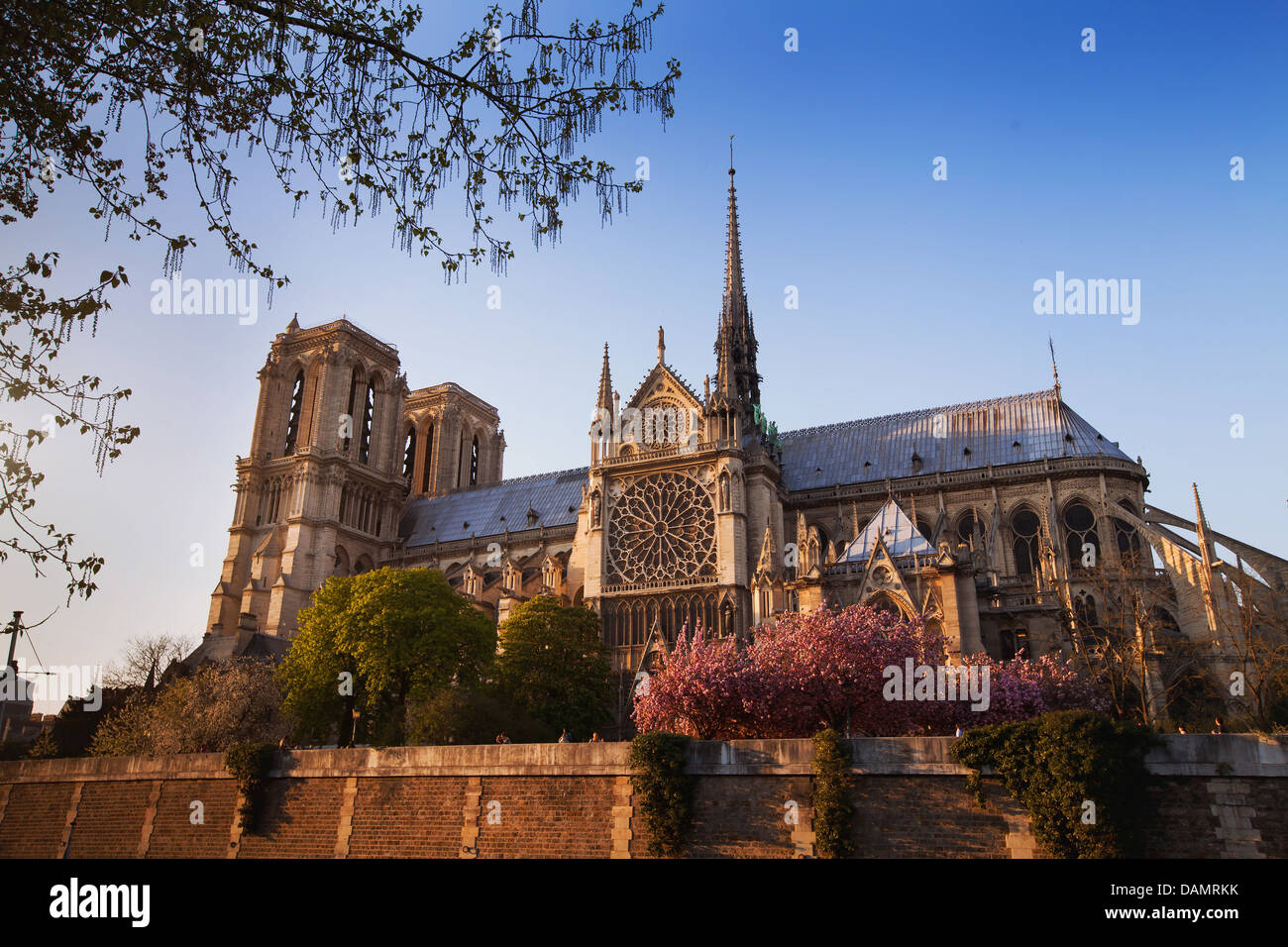 Notre Dame vue de Seine, Paris Banque D'Images
