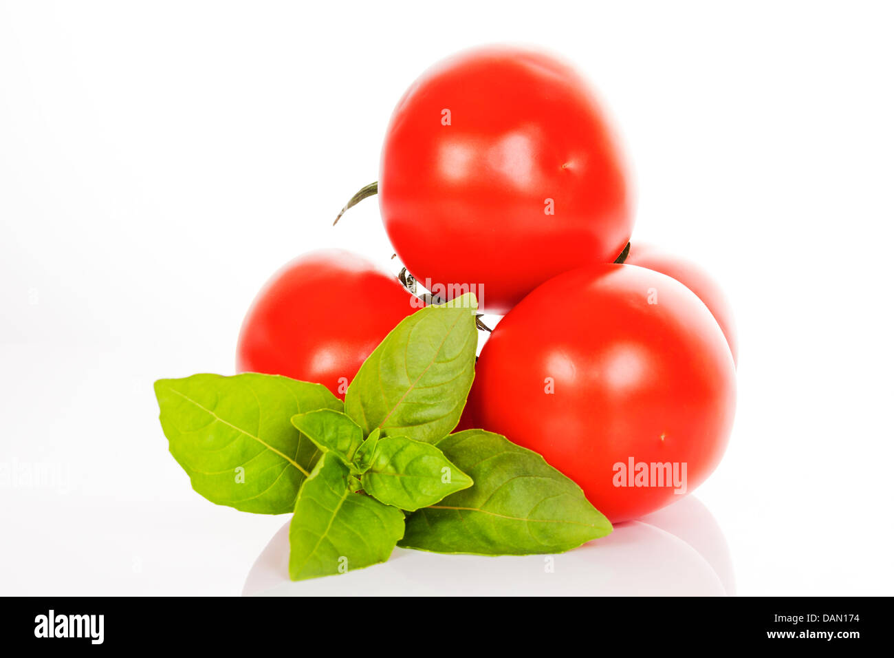 La Tomate et basilic sur fond blanc en studio Banque D'Images