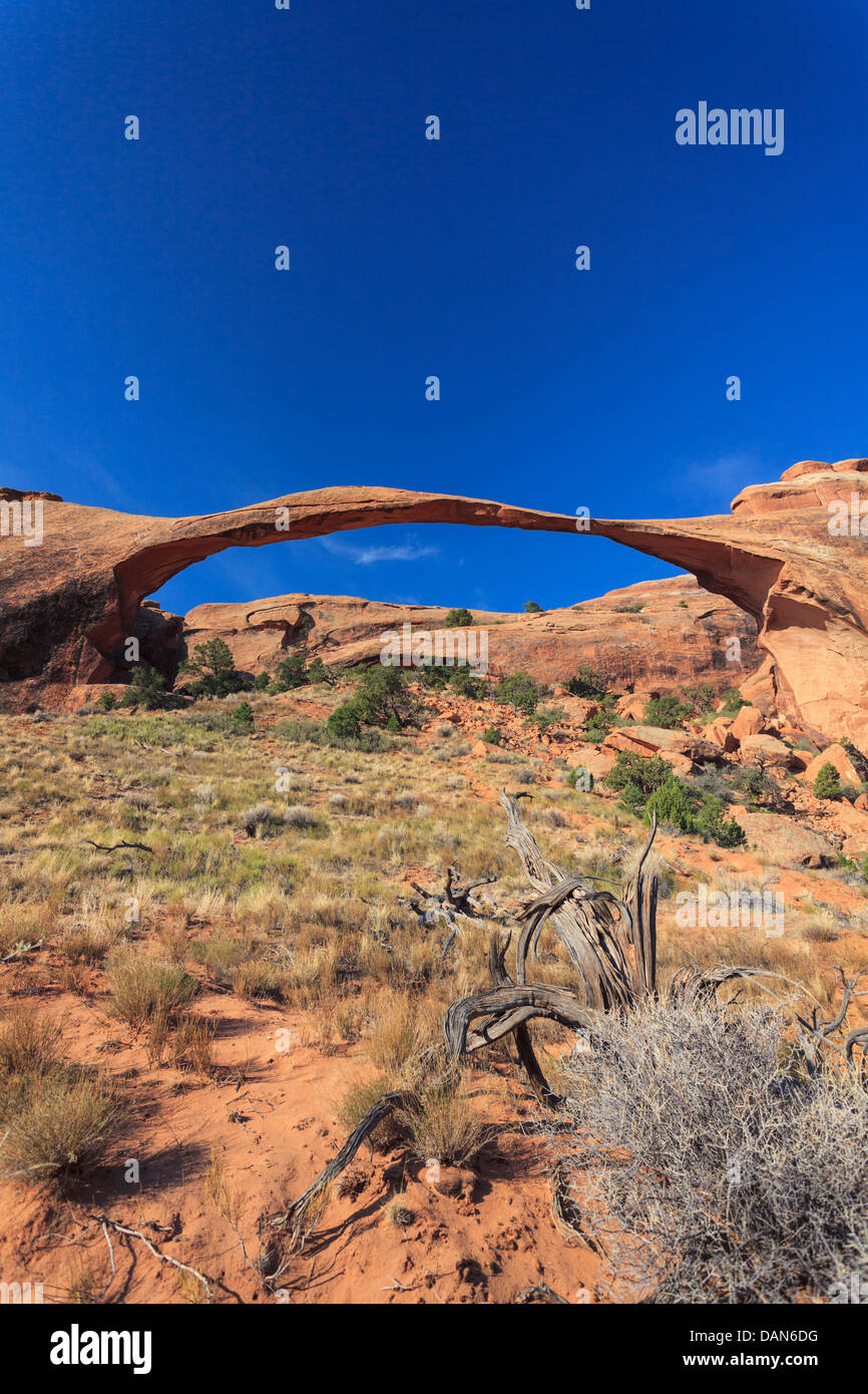 USA, Utah, Moab, Arches National Park, Landscape Arch Banque D'Images