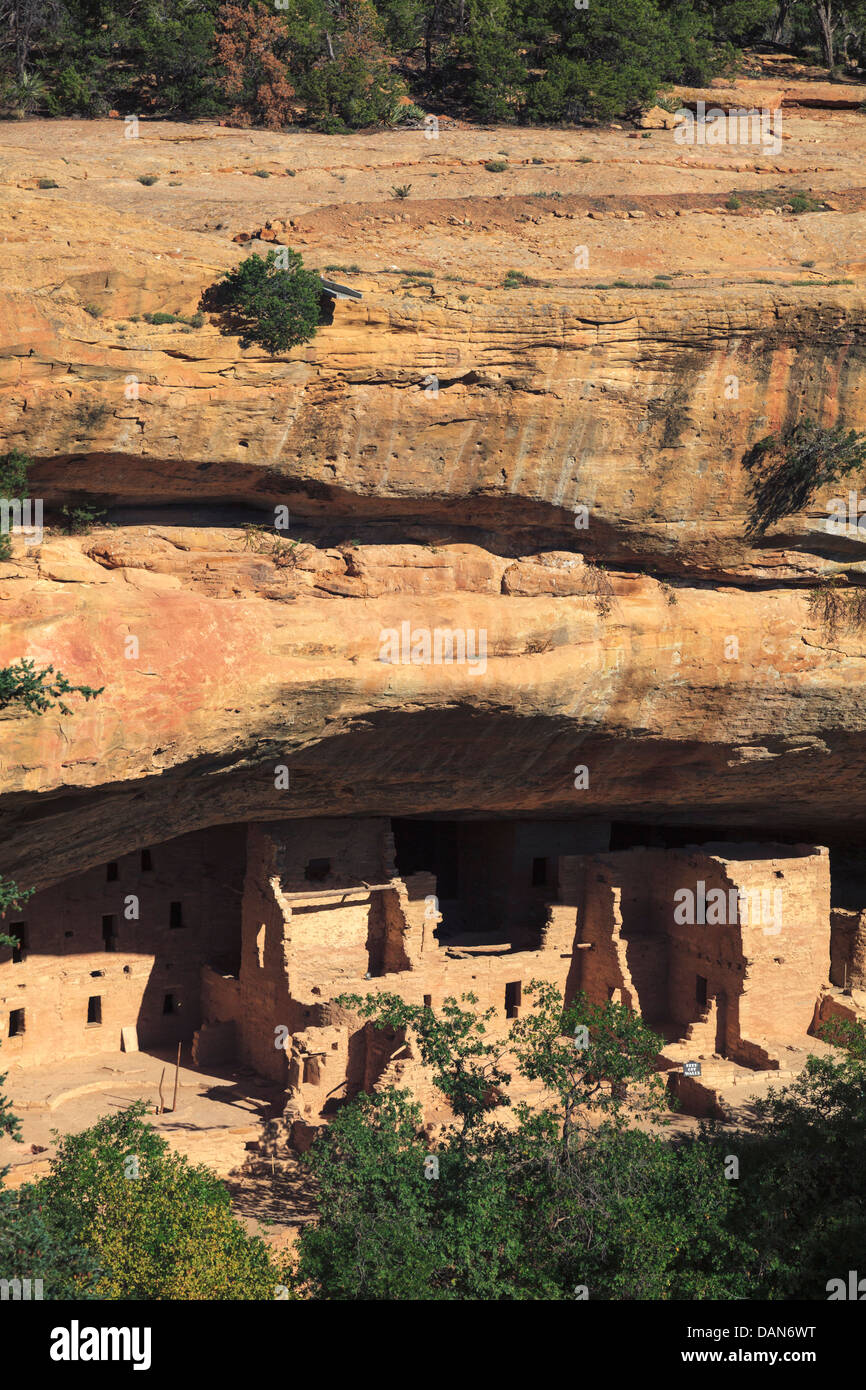 USA, Colorado, Mesa Verde National Park (patrimoine unesco), l'épinette Tree House Cliff dwellings Banque D'Images