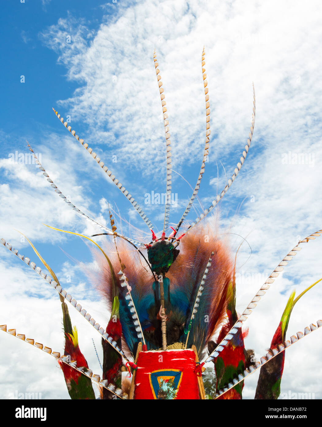 Coiffure de plumes magnifiques d'une tribu de Papouasie-Nouvelle-Guinée au Festival de Goroka, Papouasie Nouvelle Guinée Banque D'Images