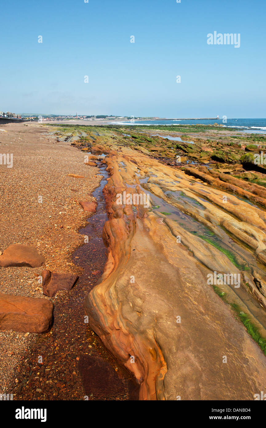 Les strates de grès de plage Spittal couverts dans le minerai de fer. Spittal, Weymouth, Dorset, Angleterre Banque D'Images