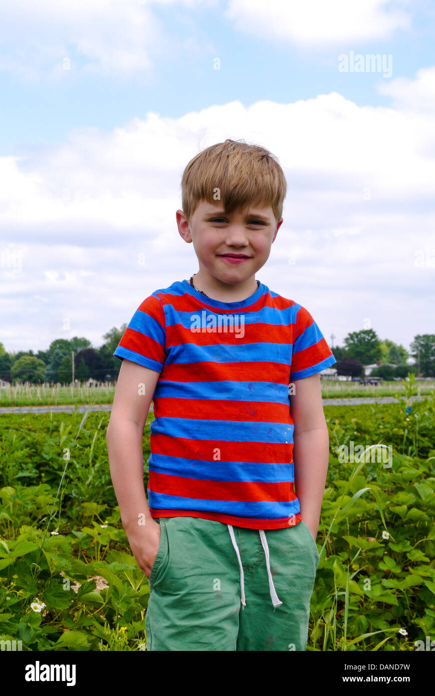Jeune garçon la cueillette des fraises dans une ferme au cours de l'été Banque D'Images