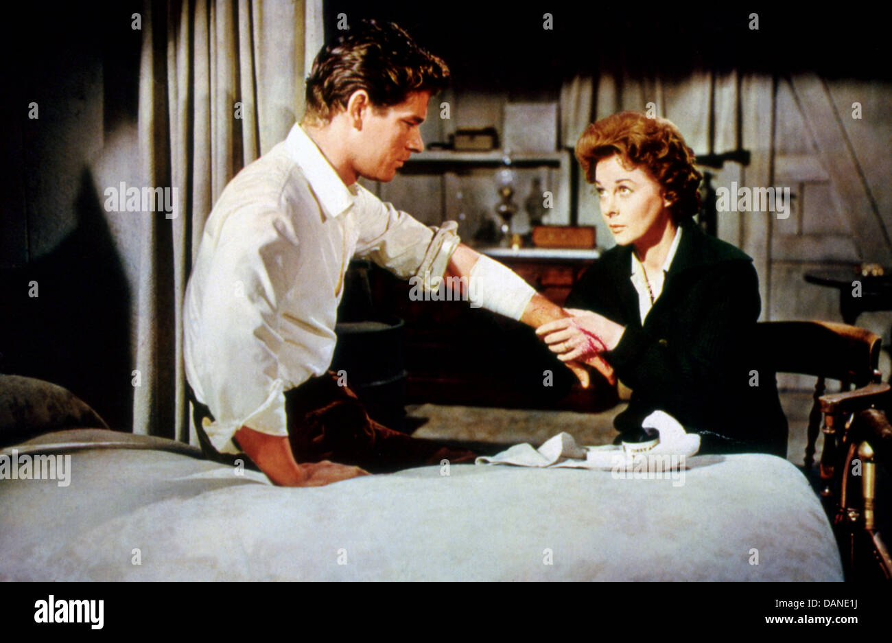 Femme OBSÉDÉE (1959) STEPHEN BOYD, Susan Hayward, Henry Hathaway (DIR) WOOB 002 Banque D'Images