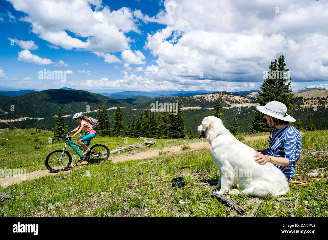 Femme seule & Platinum Golden Retriever dog watch une femelle du vélo de montagne sur le monarque Crest Trail, le centre du Colorado, USA Banque D'Images