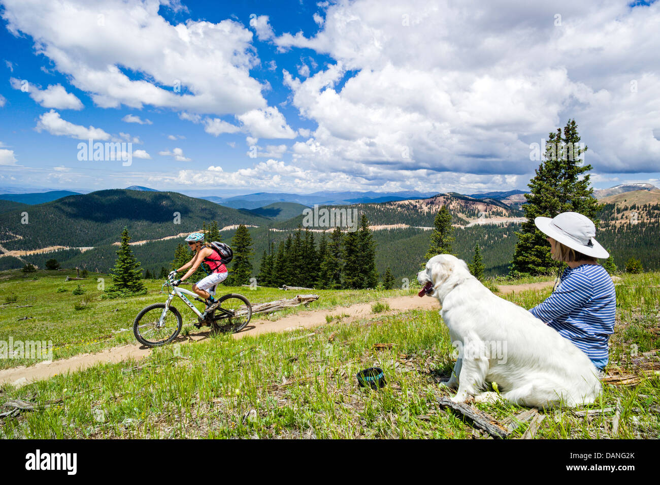 Femme seule & Platinum Golden Retriever dog watch une femelle du vélo de montagne sur le monarque Crest Trail, le centre du Colorado, USA Banque D'Images