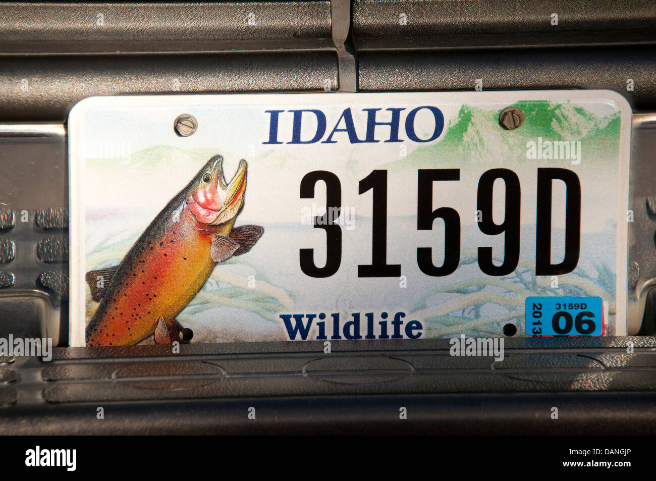 La faune spécial plaque d'immatriculation, l'état de l'Idaho Banque D'Images