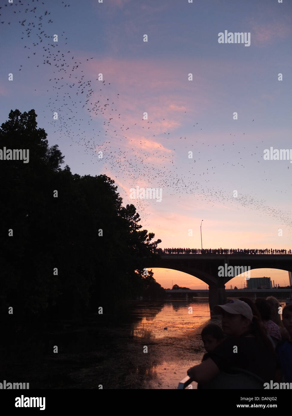 Les chauves-souris d'Austin Texas bridge au coucher du soleil Banque D'Images
