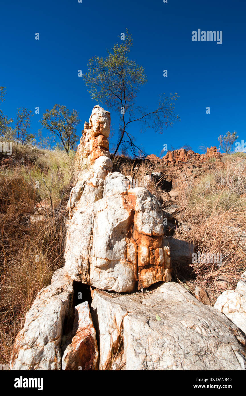 Muraille de Chine, un six-mètres de haut mur de quartzite rock, près de Fitzroy Crossing, dans le Kimberley, Australie occidentale Banque D'Images