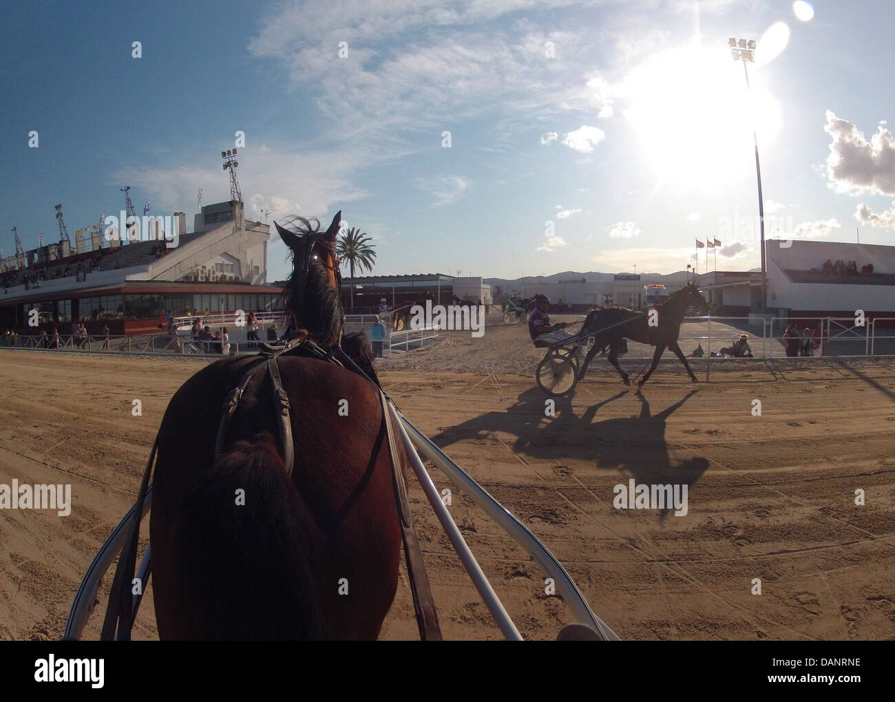 Coureurs pendant une course de chevaux de courses attelées à Palma de Majorque, l'hippodrome, dans l'île espagnole. Banque D'Images