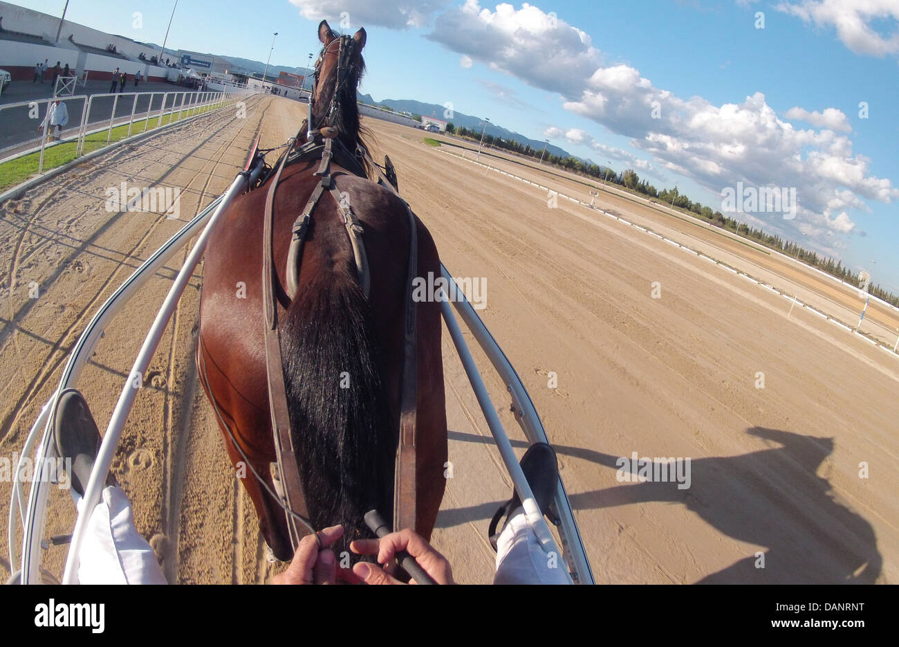 Coureurs pendant une course de chevaux de courses attelées à Palma de Majorque, l'hippodrome, dans l'île espagnole. Banque D'Images