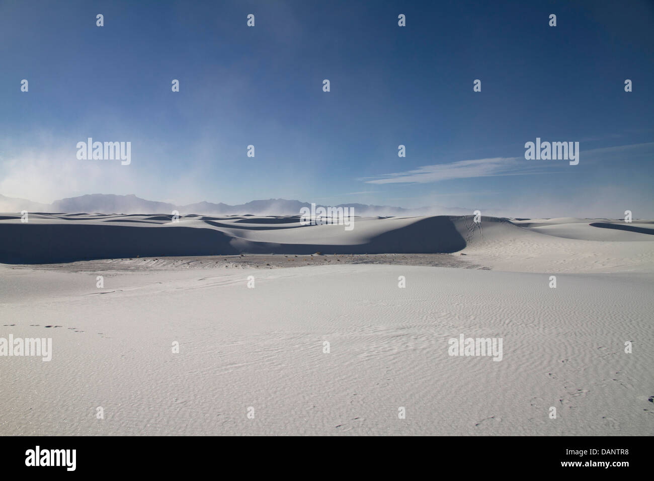 Dunes de sable blanc Banque D'Images