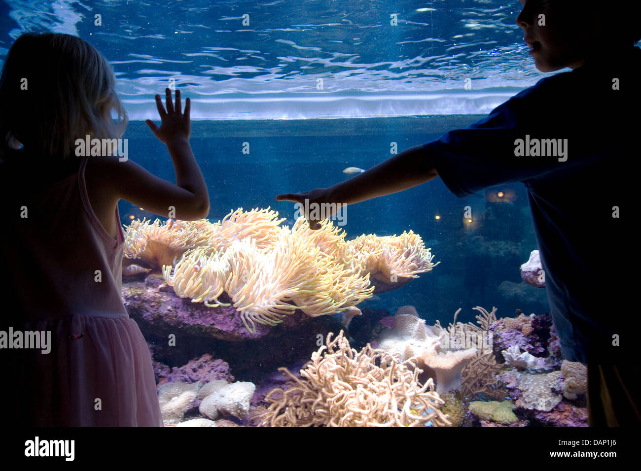 UShaka Marine World de Durban est la grande attraction de touristes visiteurs à destination de la ville fait partie du plan plus large à gentrify de Durban Banque D'Images