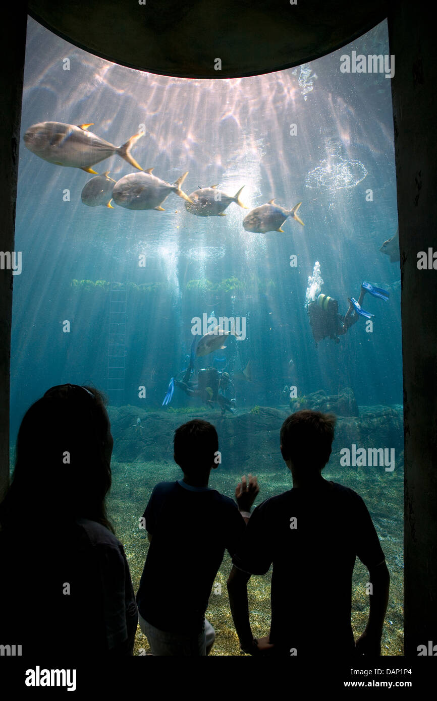 UShaka Marine World de Durban est la grande attraction de touristes visiteurs à destination de la ville fait partie du plan plus large à gentrify de Durban Banque D'Images