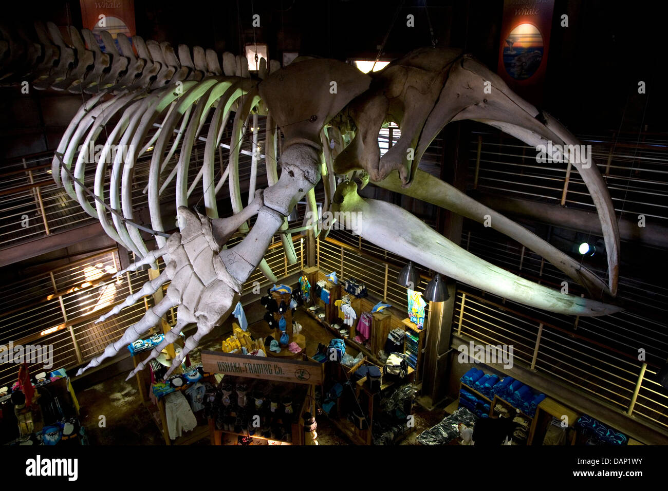 UShaka Marine World de Durban est la grande attraction de touristes visiteurs à destination de la ville fait partie du plan plus large à gentrify de Durban Banque D'Images