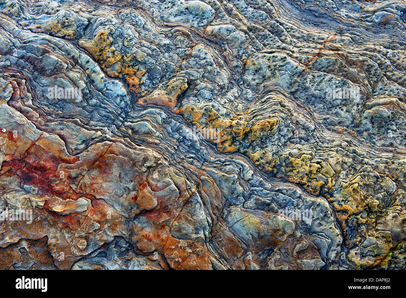 Résumé motif rock côtières altérés. La côte de Northumberland, en Angleterre. HDR Banque D'Images