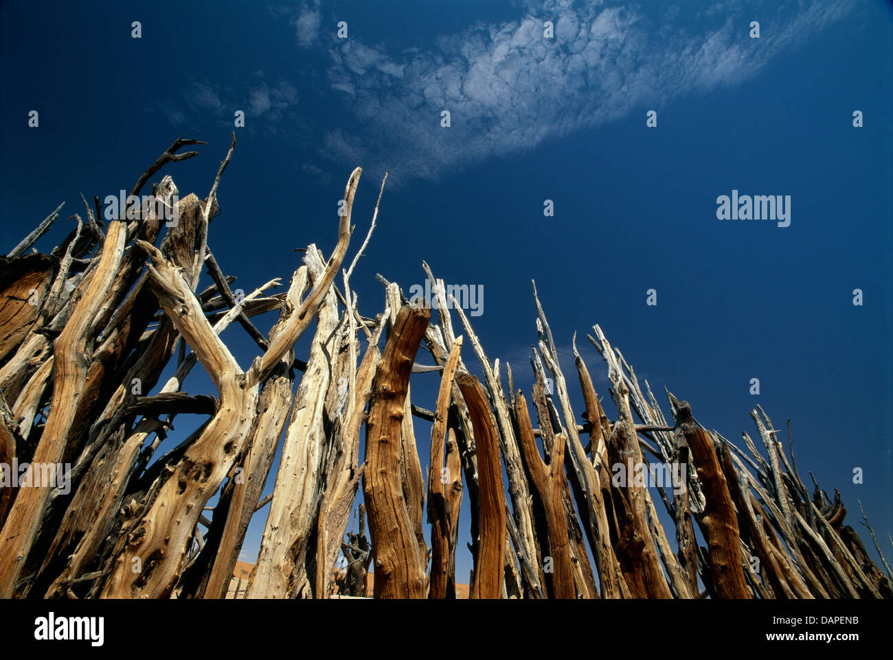 Un kraal africaine pour les ovins et caprins par le peuple de Namibie Topnar Banque D'Images