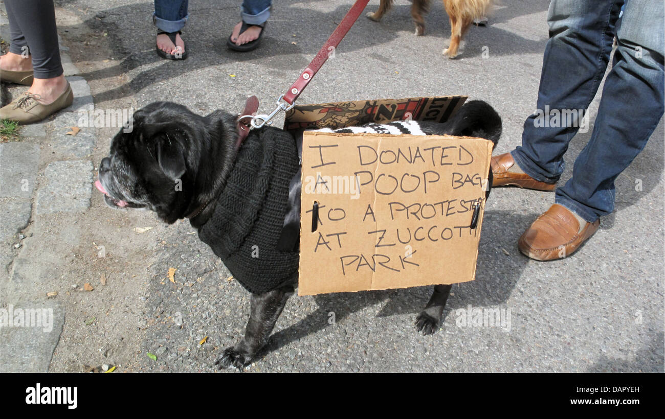 À l'investiture au chien Halloween Parade à Tompkins Square Park à Manhattan, 2011. Il porte signe se moquant de Occupy Wall Street. Banque D'Images