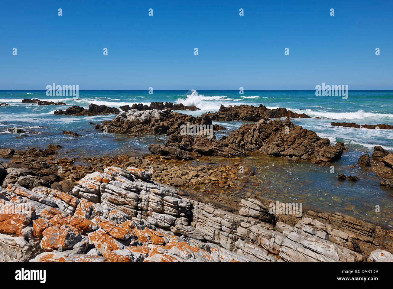Cape Agulhas, Western Cape, Afrique du Sud Banque D'Images