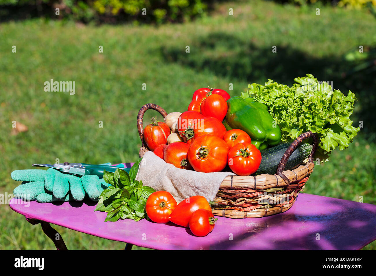 Les légumes dans un panier sous la lumière du soleil Banque D'Images