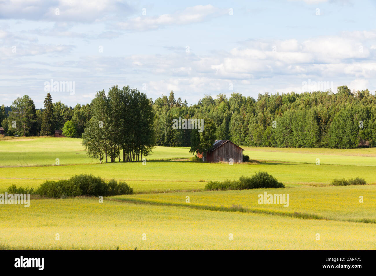 Belle vue sur la campagne en Finlande Banque D'Images