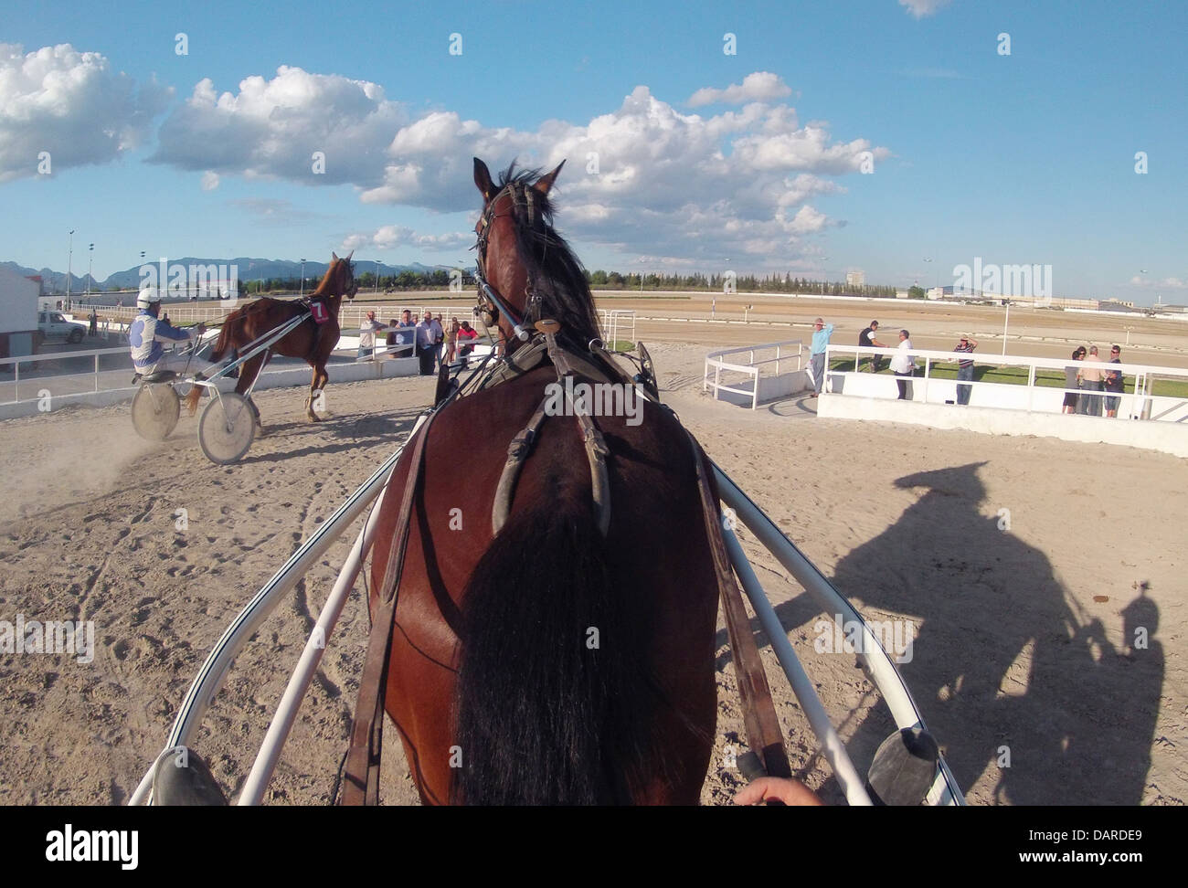 Coureurs pendant une course de chevaux de courses attelées à Palma de Majorque, l'hippodrome, dans l'île espagnole. Banque D'Images