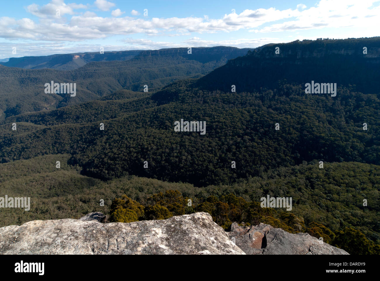 Vue sur la vallée Jamison, au Point Sublime, Blue Mountains, Australie Banque D'Images