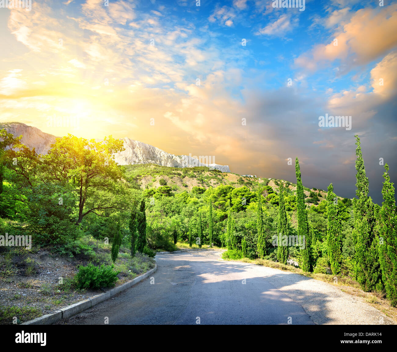 Parc Cypress dans les montagnes avec sunny sky Banque D'Images Parc Cypress dans les montagnes avec sunny sky Banque D'Images