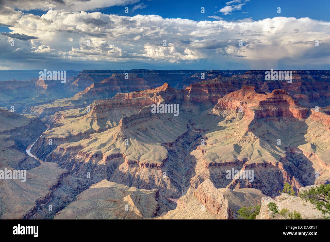 Aux Etats-Unis, l'Arizona, le Parc National du Grand Canyon (South Rim), Colorado River de Mohave Point Banque D'Images
