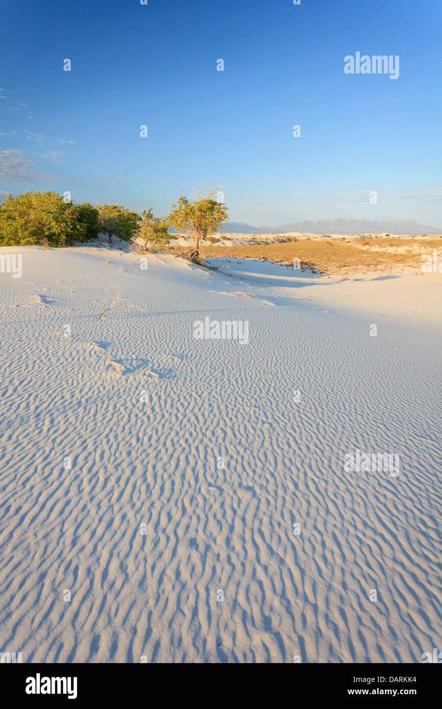 USA, Nouveau Mexique, White Sands National Monument Banque D'Images