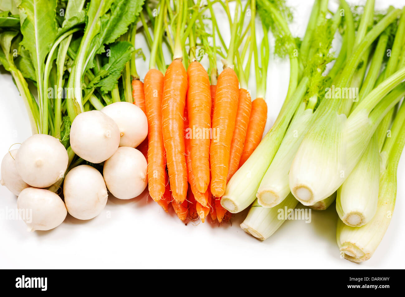 Le navet, la carotte et le céleri de jardin sur fond blanc Banque D'Images