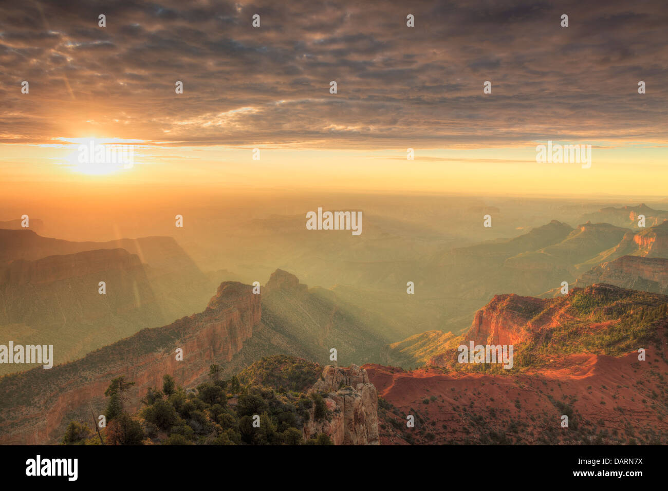 USA, Arizona, Grand Canyon National Park, North Rim, Point Imperial Banque D'Images