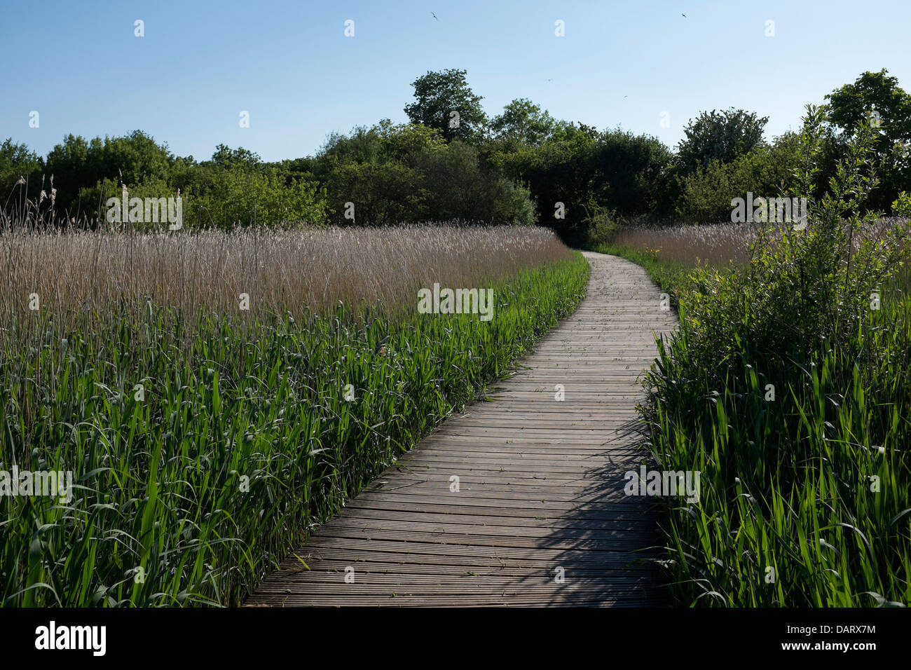 Cosmeston Lakes Country Park Banque D'Images