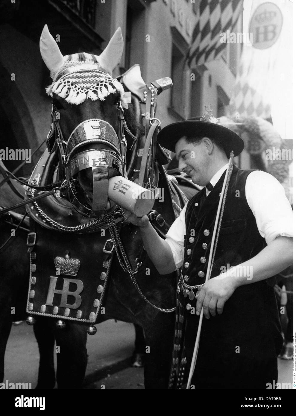 Alcool, bière, brasserie coachman de Hofbrauhaus ayant son cheval buvant Maibock, Munich, 1963, droits additionnels-Clearences-non disponible Banque D'Images