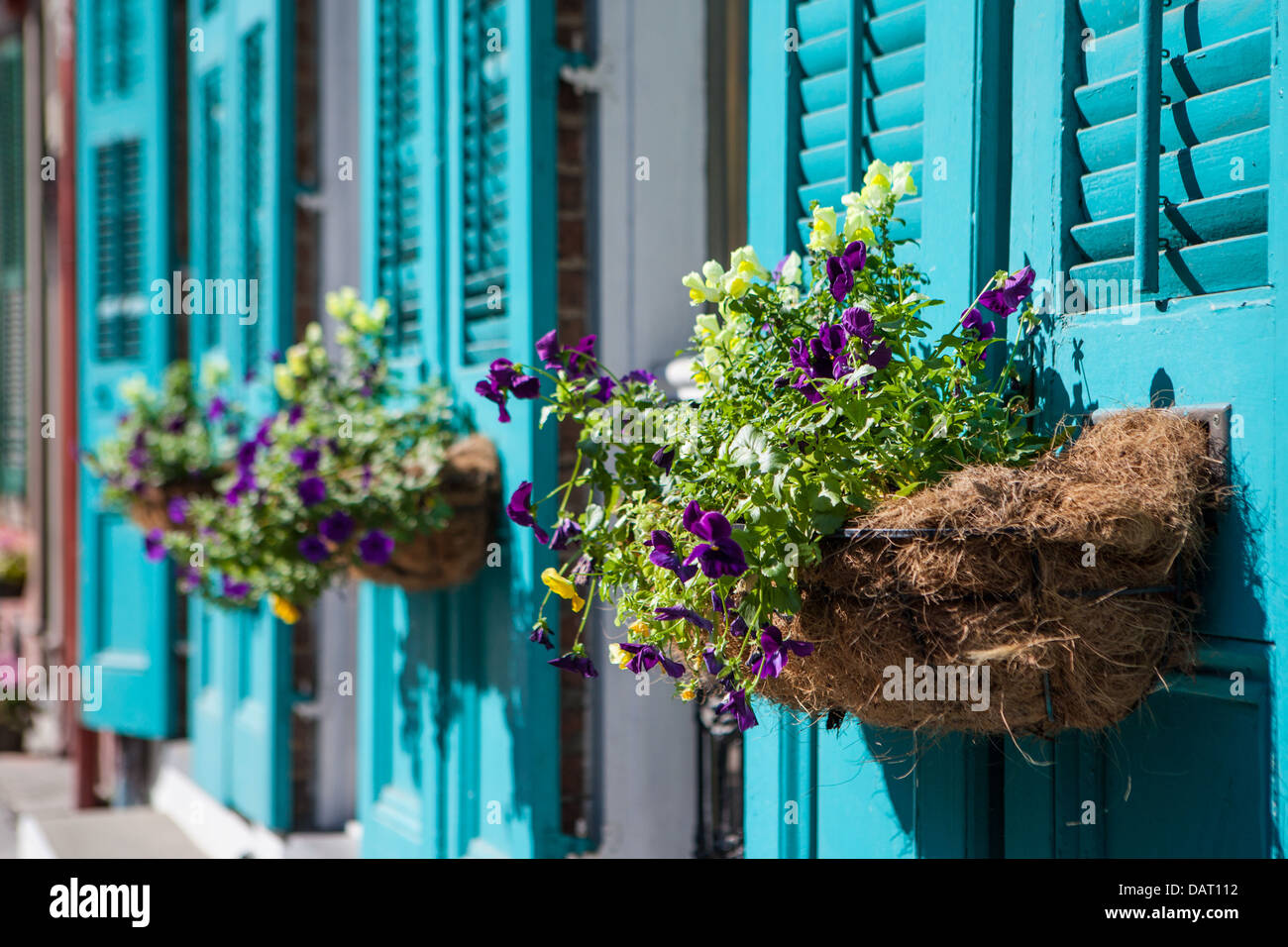 Dans des paniers de fleurs hang off shutter portes durant Mardi Gras à La Nouvelle Orléans, Louisiane, USA Banque D'Images