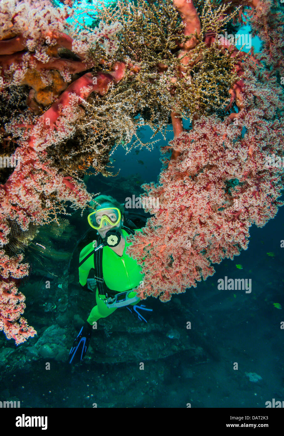 Plongeur autonome des femmes à explorer l'extérieur de l'épave, Tulamben, Bali, Indonésie Banque D'Images