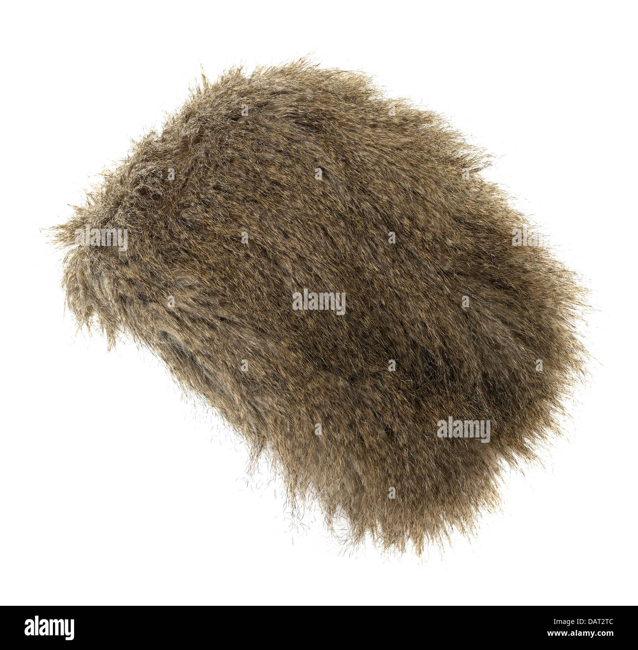 Furry hat cut sur un fond blanc Banque D'Images