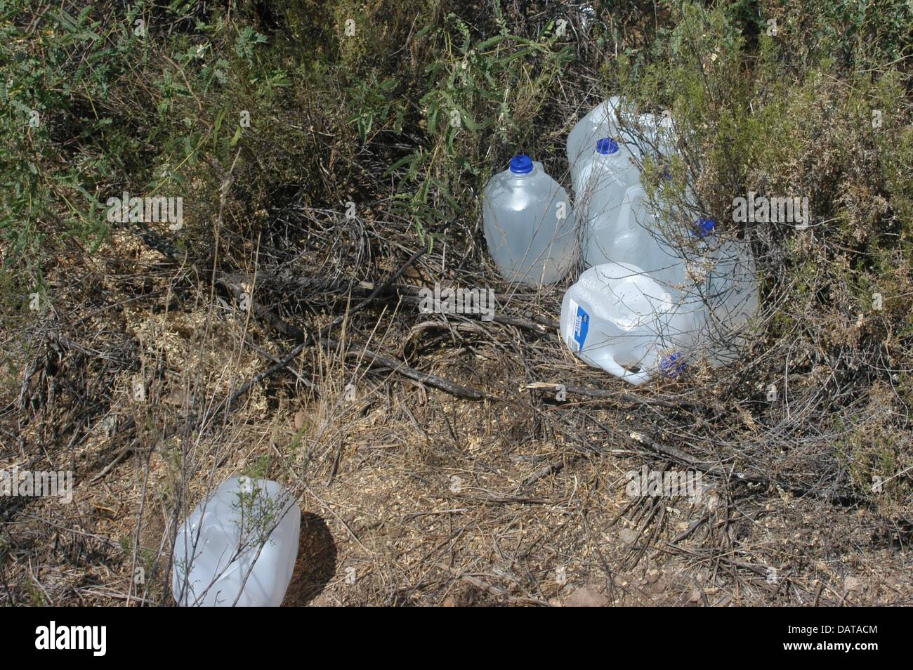 30 juin 2003 - Arivaca, Arizona, United States - UN stash de bouteilles d'eau est la preuve d'une forte circulation près de plaza migrants Arivaca Arizona), comme c'est le cas aujourd'hui, la région était une route de l'immigration populaire avec de grandes routes artérielles fournissant l'accès des véhicules sur le désert et en Arizona et au-delà. (Crédit Image : ©/ZUMAPRESS.com) s Seberger Banque D'Images