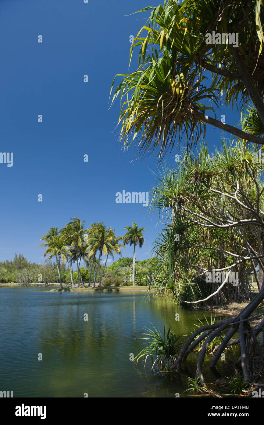 Lac PANDANUS Fairchild Tropical Botanic Garden CORAL GABLES FLORIDA USA Banque D'Images