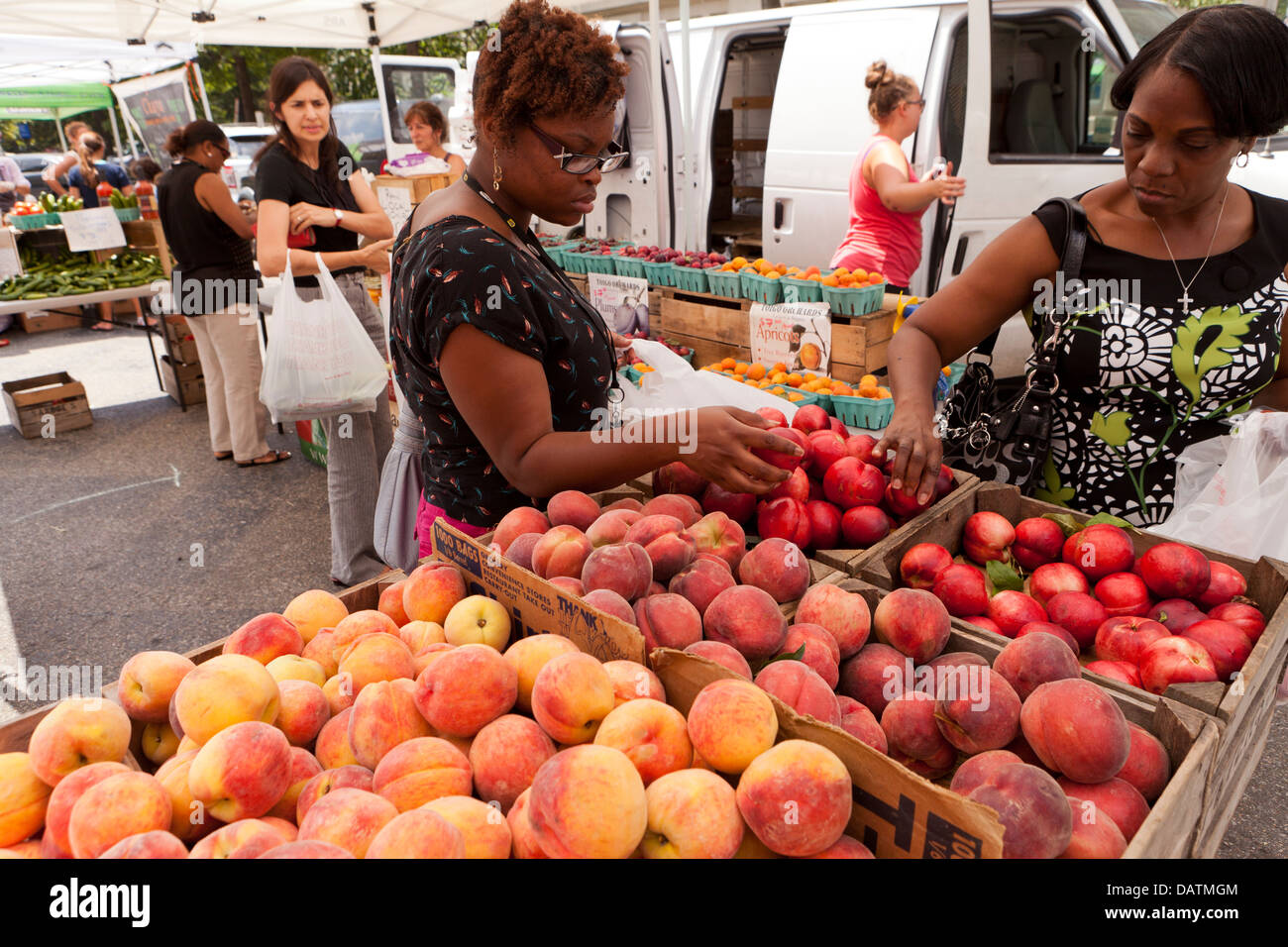 Les femmes d'acheter des fruits au marché de fermiers - Washington, DC USA Banque D'Images