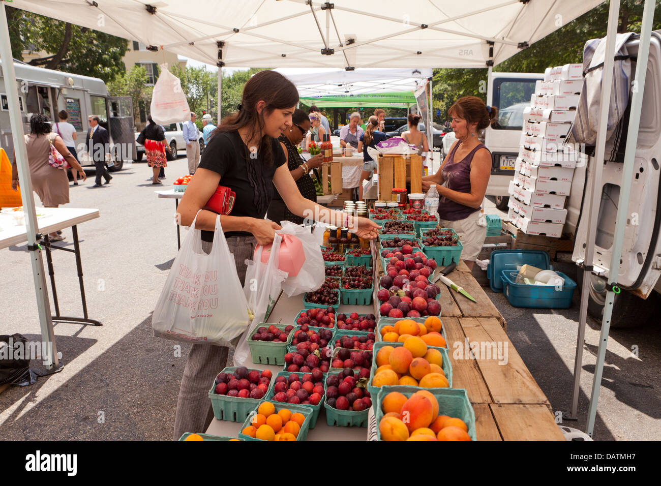 Femme à fruits visualisation Farmers Market - Washington, DC USA Banque D'Images