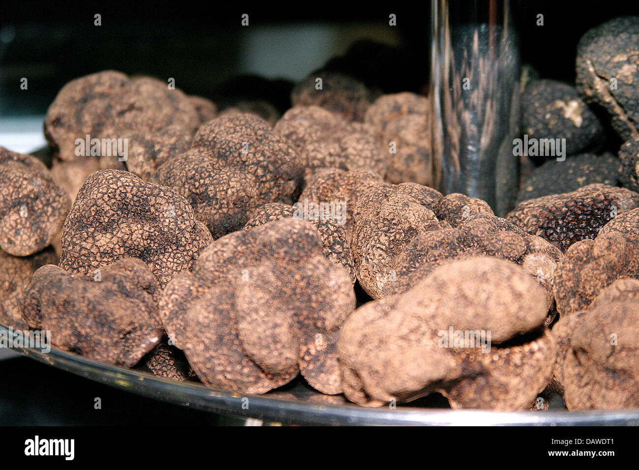 Truffes sélectionnées à une partie de la truffe à Berlin, Allemagne, 16 janvier 2007. Photo : Xamax Banque D'Images