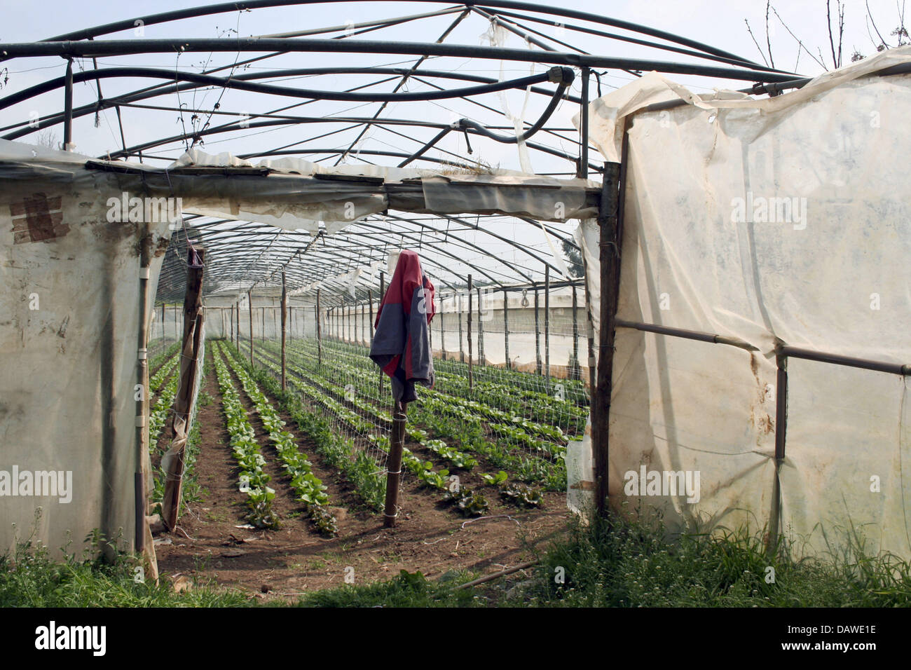 L'intérieur d'une maison verte est photographié à la coop agricole "Agricoltura Nuova' près de Rome, Italie, 17 mars 2007. En 1977 umemployed les agriculteurs et les travailleurs ont fondé la coopérative qui est basée sur les ventes directes, les énergies alternatives, l'agriculture écologique et de détention des animaux dans leur environnement naturel. Photo : Lars Halbauer Banque D'Images