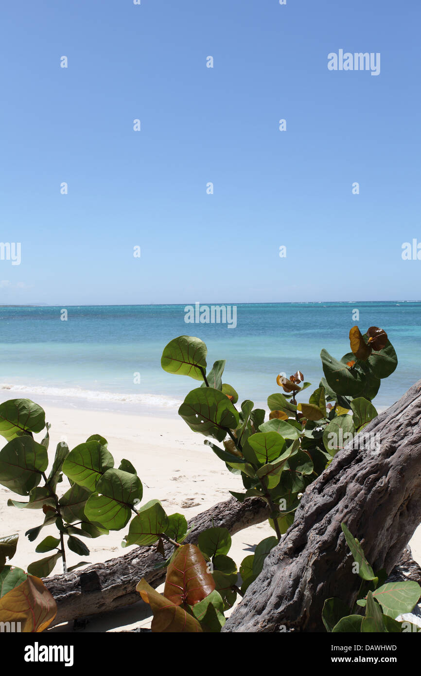 Belle plage de sable blanc, Playa Esmeralda, Cuba Banque D'Images
