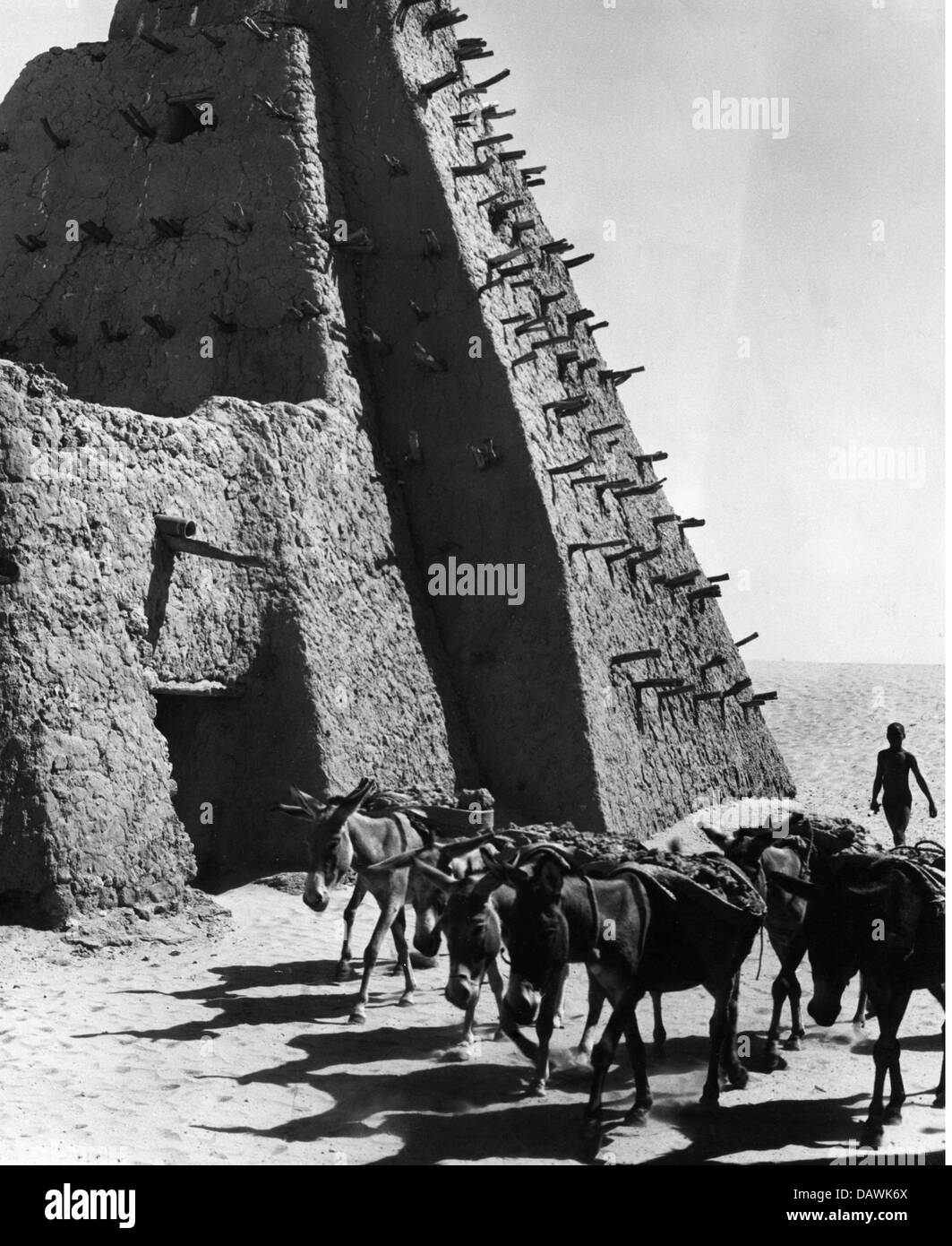 Géographie / Voyage, Mali, Tombouctou, scènes de rue, ânes en dehors de la ville fortification, vers 1960, droits additionnels-Clearences-non disponible Banque D'Images