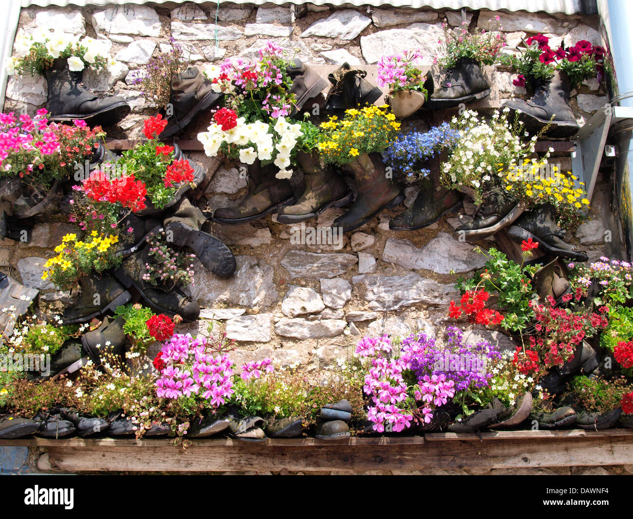 Affichage Fleurs de vieilles bottes, Teignmouth, Devon, UK 2013 Banque D'Images