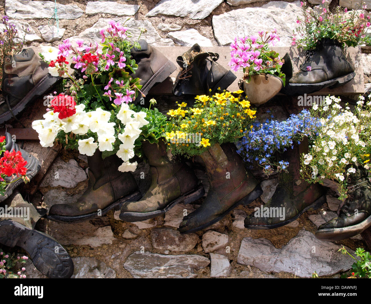 Affichage Fleurs de vieilles bottes, Teignmouth, Devon, UK 2013 Banque D'Images
